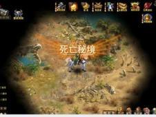 可爱的小考拉