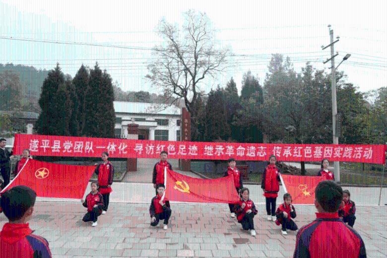 细胞分裂5