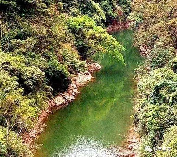 滚动的奶酪