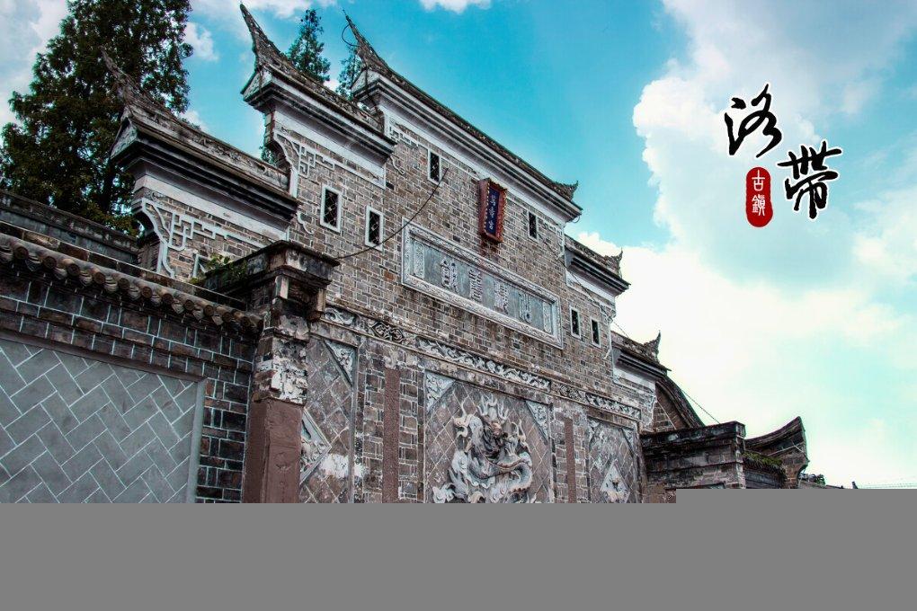 救援花栗鼠